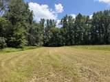 00 Country Road 428 - Photo 5