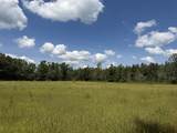 00 Country Road 428 - Photo 6
