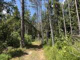 00 Country Road 428 - Photo 7