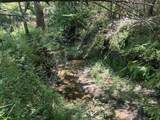 00 Country Road 428 - Photo 8