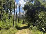 00 Country Road 428 - Photo 9