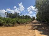 00 Country Road 428 - Photo 11