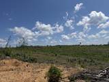 00 Country Road 428 - Photo 13