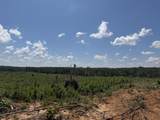 00 Country Road 428 - Photo 14