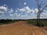 00 Country Road 428 - Photo 15