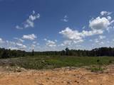 00 Country Road 428 - Photo 16