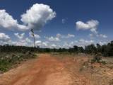 00 Country Road 428 - Photo 17
