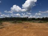 00 Country Road 428 - Photo 19