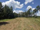 00 Country Road 428 - Photo 2