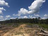00 Country Road 428 - Photo 20