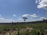 00 Country Road 428 - Photo 21