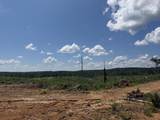 00 Country Road 428 - Photo 22