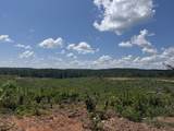 00 Country Road 428 - Photo 23