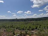 00 Country Road 428 - Photo 24