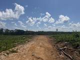 00 Country Road 428 - Photo 25