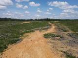 00 Country Road 428 - Photo 26