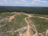 00 Country Road 428 - Photo 27