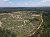 00 Country Road 428 - Photo 29