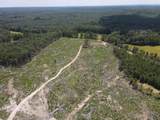 00 Country Road 428 - Photo 33