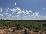 00 Country Road 428 - Photo 4