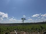 00 Country Road 428 - Photo 5