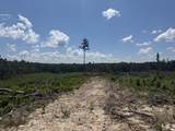 00 Country Road 428 - Photo 8