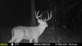 TBD Cr 371 - Photo 15