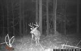 TBD Cr 371 - Photo 17