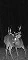 TBD Cr 371 - Photo 18