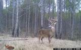 90 Cr 371 (Lafayette County) - Photo 112