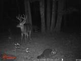 90 Cr 371 (Lafayette County) - Photo 114