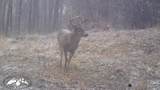 90 Cr 371 (Lafayette County) - Photo 115