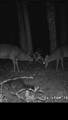 90 Cr 371 (Lafayette County) - Photo 120