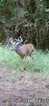 90 Cr 371 (Lafayette County) - Photo 121