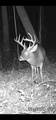 90 Cr 371 (Lafayette County) - Photo 124