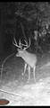 90 Cr 371 (Lafayette County) - Photo 125