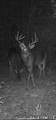 90 Cr 371 (Lafayette County) - Photo 127