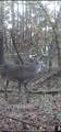 90 Cr 371 (Lafayette County) - Photo 129