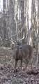 90 Cr 371 (Lafayette County) - Photo 130