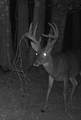 90 Cr 371 (Lafayette County) - Photo 131