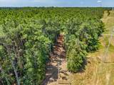 868 Hwy. 6 East - Photo 15