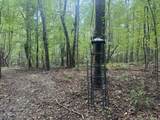 N/A County Road 1495 - Photo 10