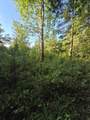 0 County Road 200 - Photo 6