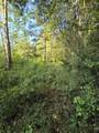 0 County Road 200 - Photo 7