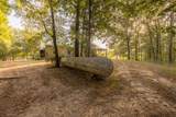 4964 Cr 216 - Photo 16