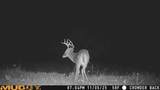 4964 Cr 216 - Photo 63