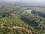 0 County Road 222 - Photo 11