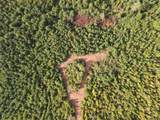 0 County Road 222 - Photo 13