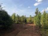 0 County Road 222 - Photo 4