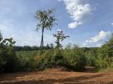 0 County Road 222 - Photo 5